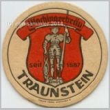 traunsteinwochinger (3).jpg